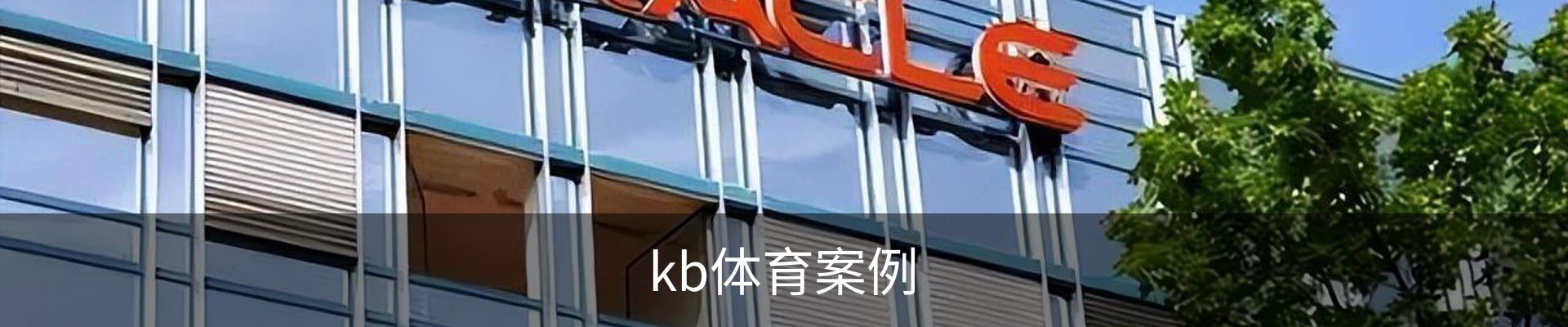 kb体育案例